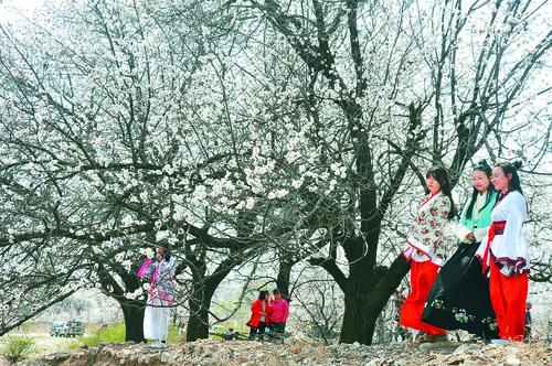 太阳集团品牌形象图 阳光城市综合体